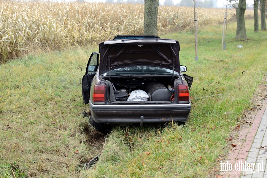 Wypadek w Kazimierzowie. Ranny kierowca przewieziony do szpitala po uderzeniu autem w drzewo, fot. 8