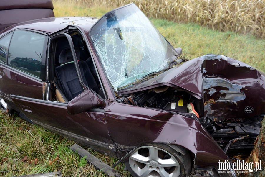 Wypadek w Kazimierzowie. Ranny kierowca przewieziony do szpitala po uderzeniu autem w drzewo, fot. 13