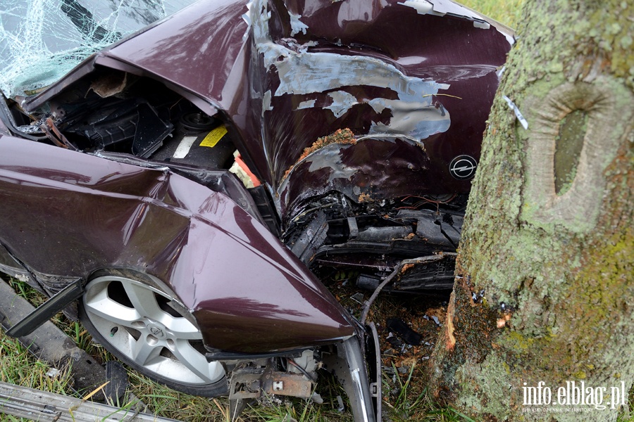 Wypadek w Kazimierzowie. Ranny kierowca przewieziony do szpitala po uderzeniu autem w drzewo, fot. 18