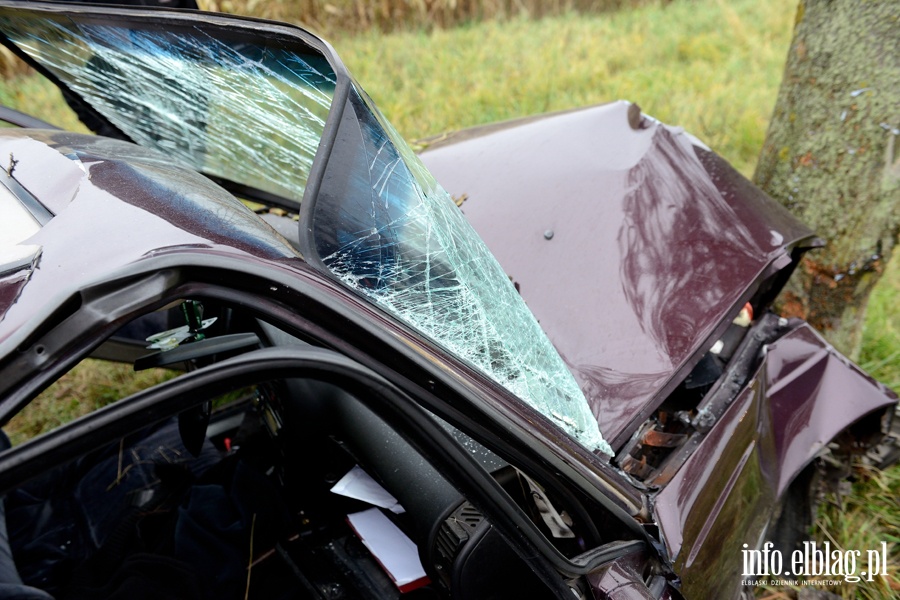 Wypadek w Kazimierzowie. Ranny kierowca przewieziony do szpitala po uderzeniu autem w drzewo, fot. 19