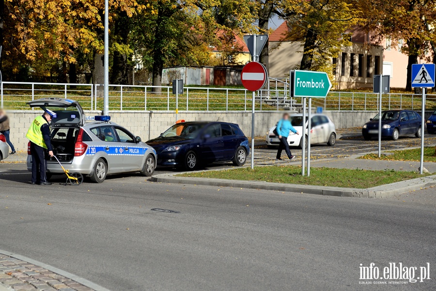 Brzeska-Browarna: potrcenie mczyzny i psa na przejciu dla pieszych, fot. 6