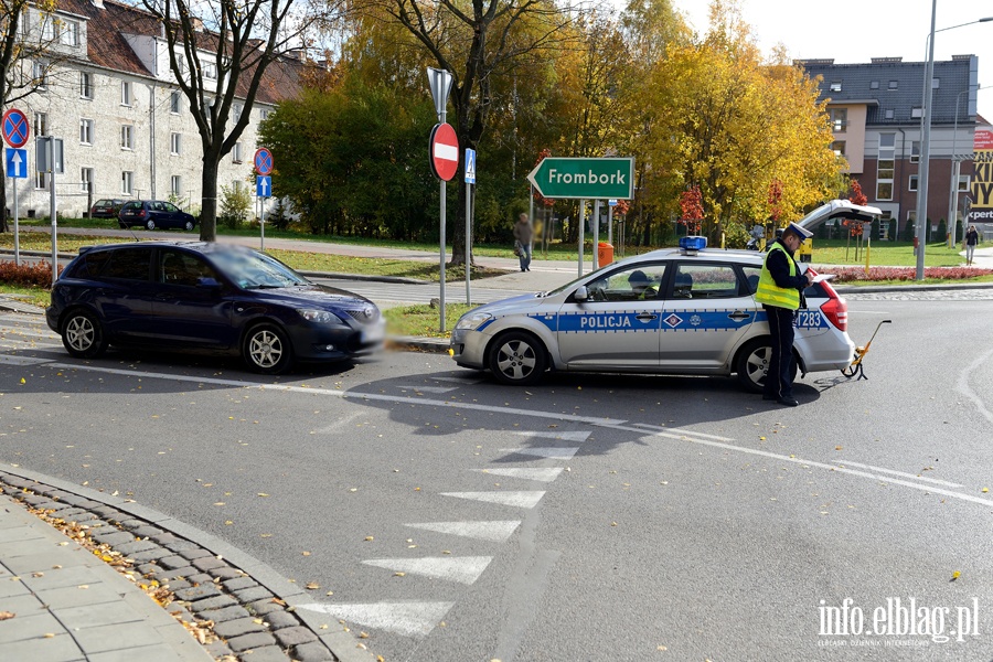 Brzeska-Browarna: potrcenie mczyzny i psa na przejciu dla pieszych, fot. 9