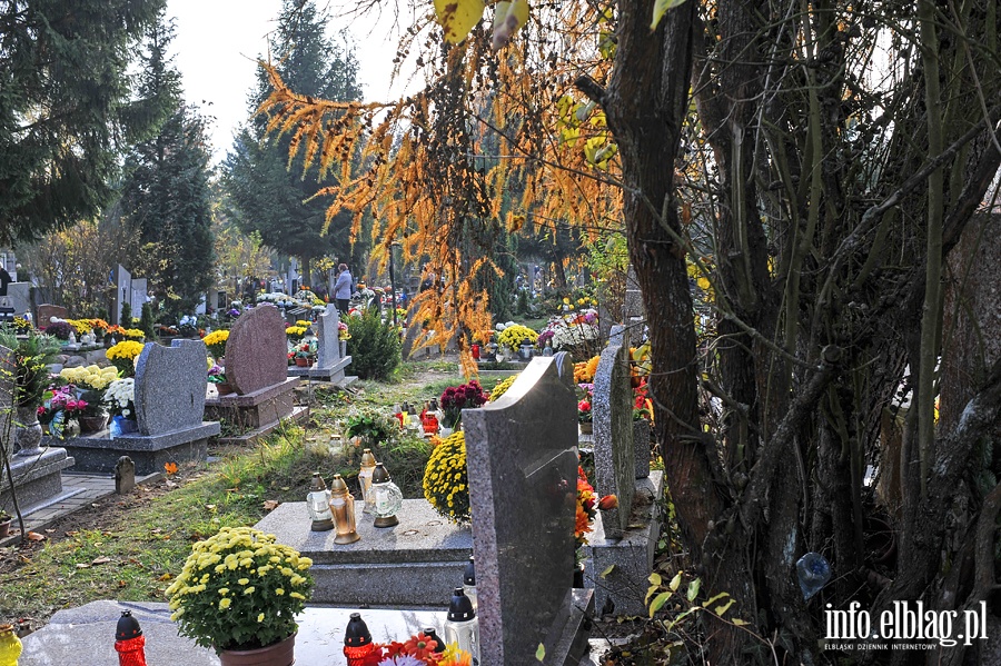 Cmentarz Dębica, fot. 15