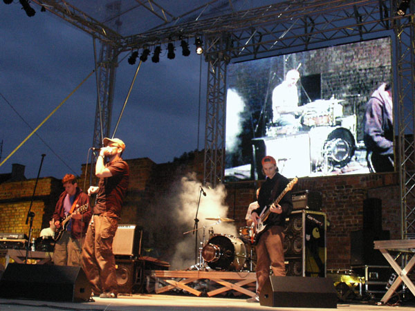 IV Letnie Ogrody Polityki - koncert Fisza i Emade, fot. 13