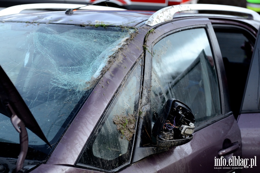 czycka: liska wylotwka z Elblga. Auto wyldowao w rowie, fot. 8