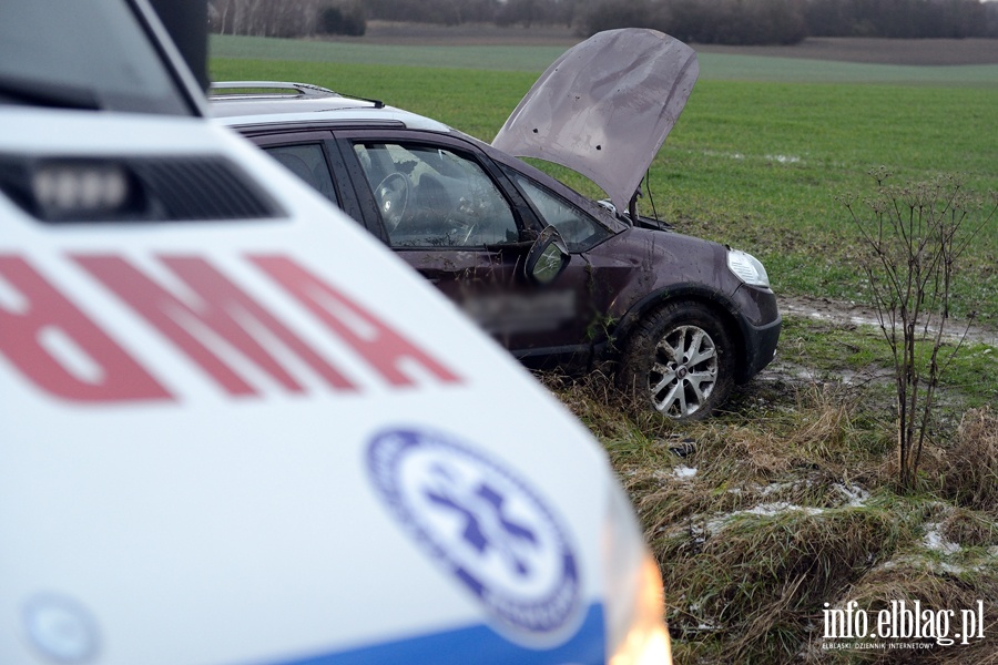 czycka: liska wylotwka z Elblga. Auto wyldowao w rowie, fot. 16