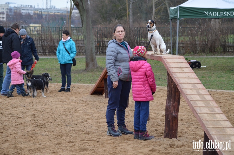 Plac zabaw dla psiakw, fot. 31