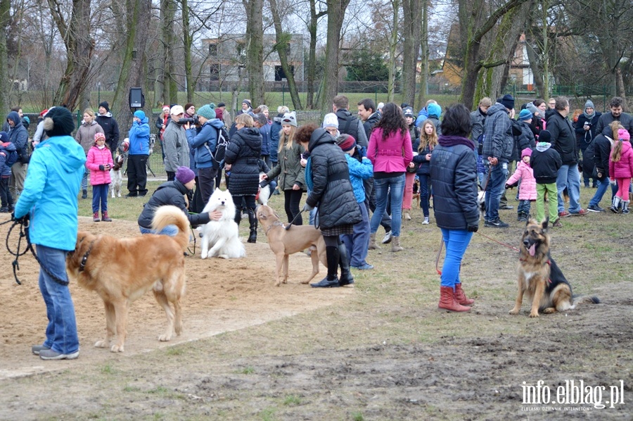 Plac zabaw dla psiakw, fot. 40