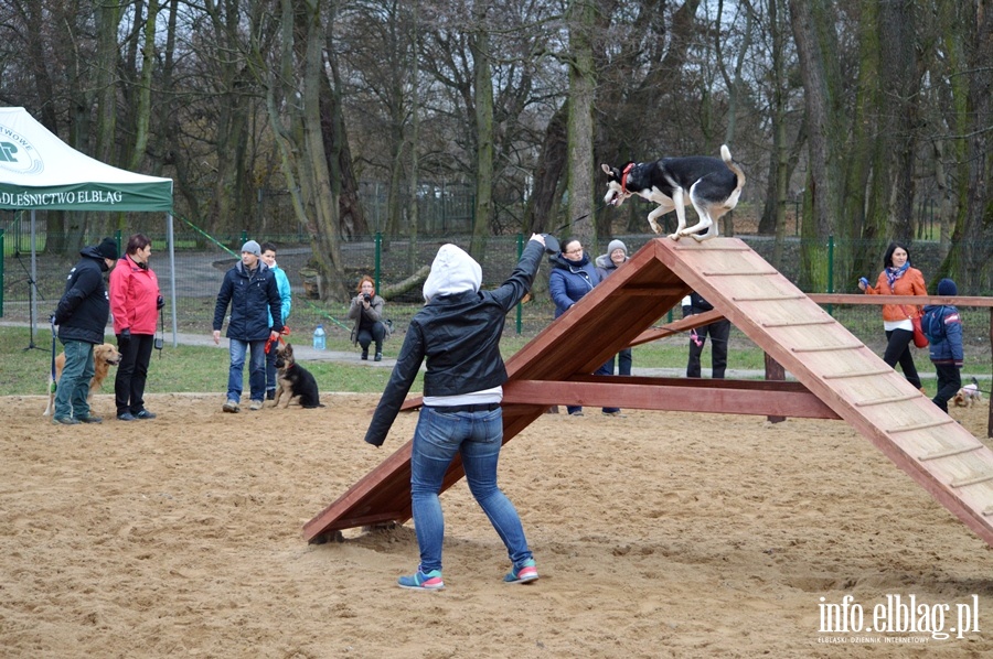 Plac zabaw dla psiakw, fot. 47