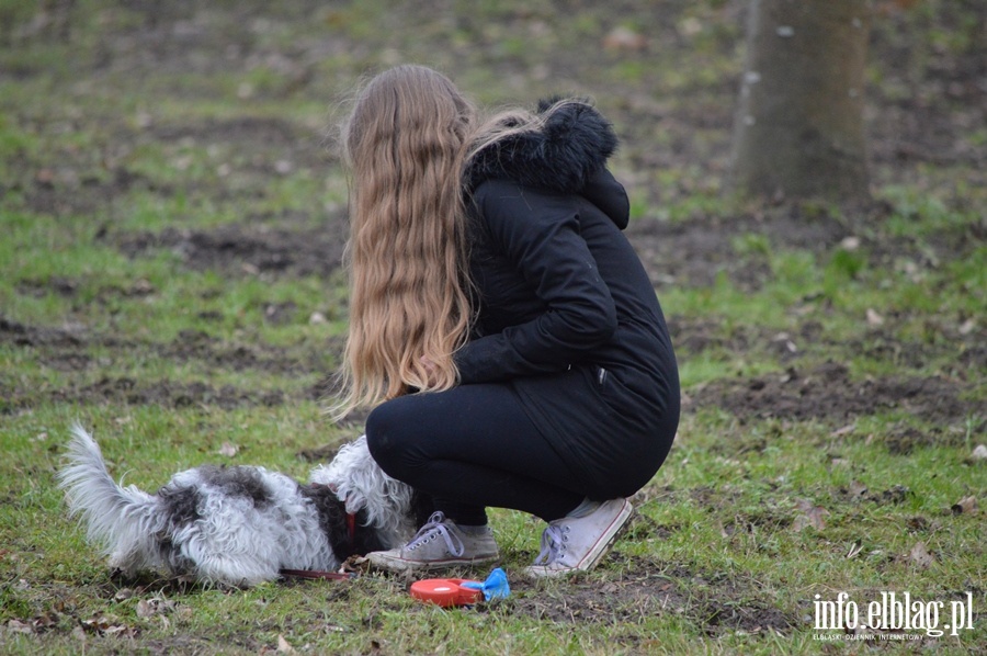 Plac zabaw dla psiaków, fot. 64
