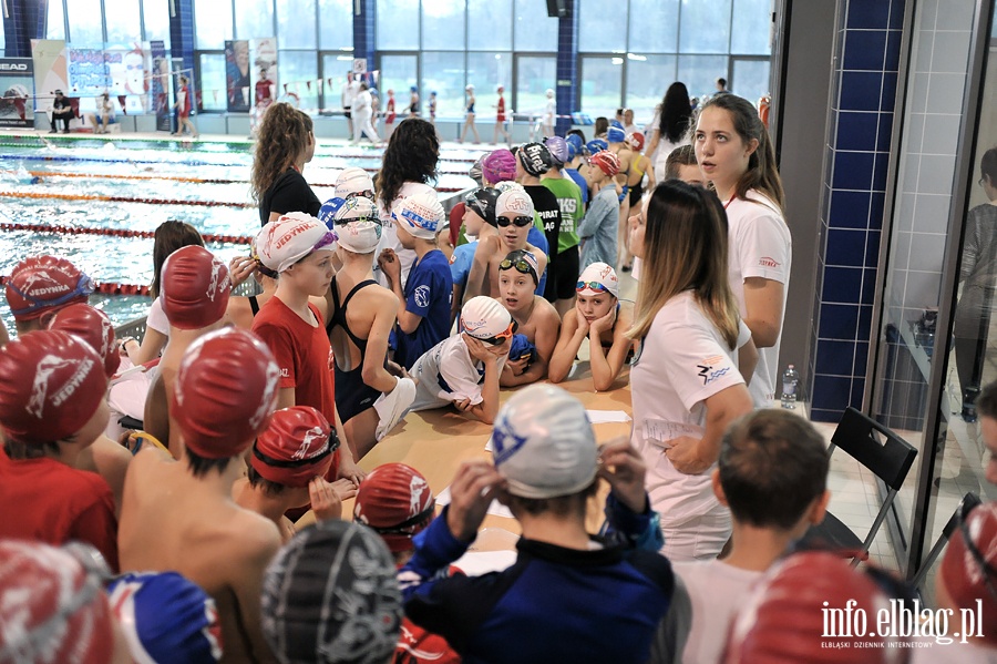 Pierwsza edycja Mikoajkowej Olimpiady Pywackiej o Puchar Otylii Jdrzejczak , fot. 65