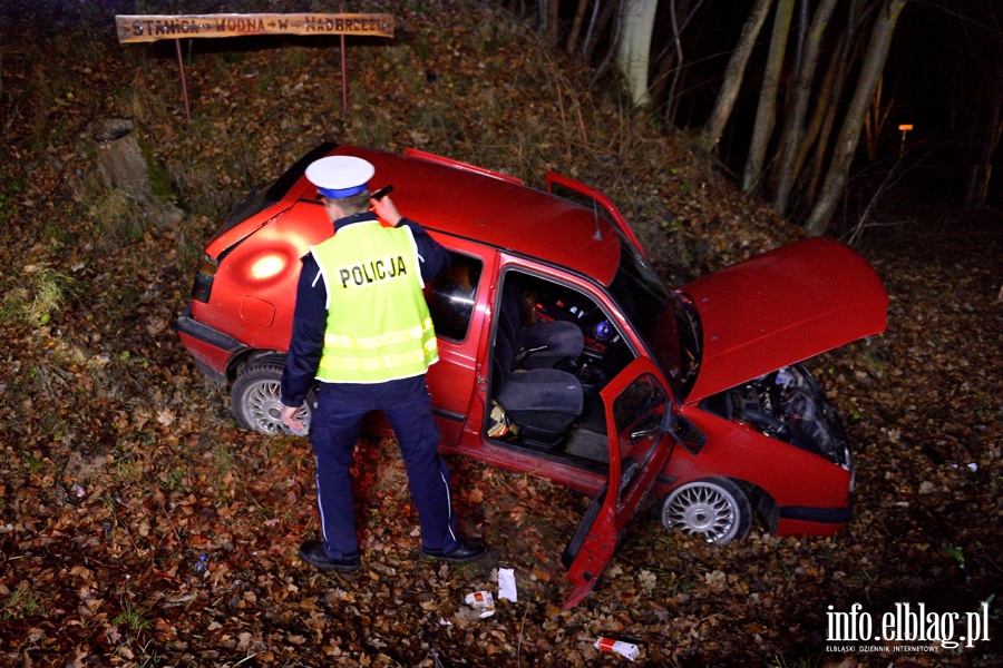 Wypadek na DW503: golfem wpadli do przydrożnego rowu. Dwie poszkodowane osoby w szpitalu, fot. 11