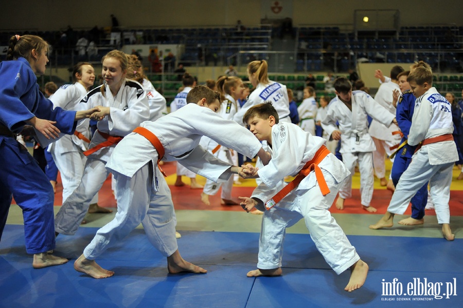 Judo Camp w Elblągu, fot. 18