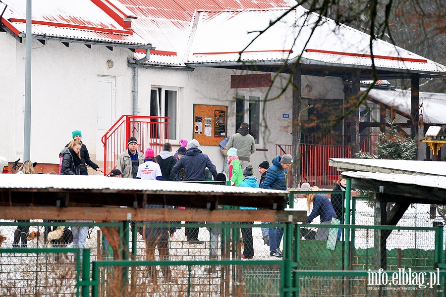 Karnawałowy Bieg na sześć łap, fot. 33
