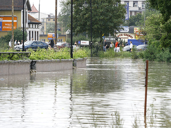 Zalany Elbląg, fot. 10