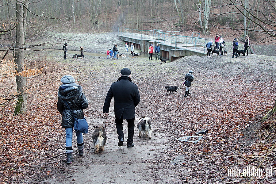 Bieg na sześć łap, fot. 32