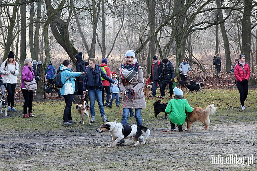 Bieg na sześć łap, fot. 64