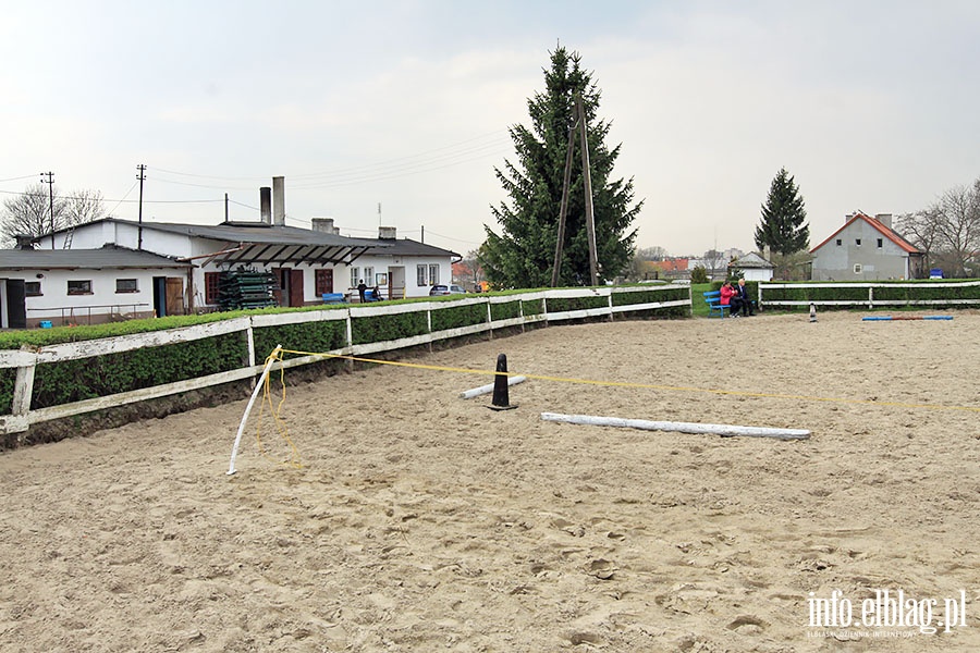 Fundacja "Końskie Zdrowie", fot. 14