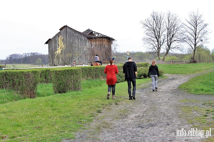 Fundacja "Koskie Zdrowie", fot. 17