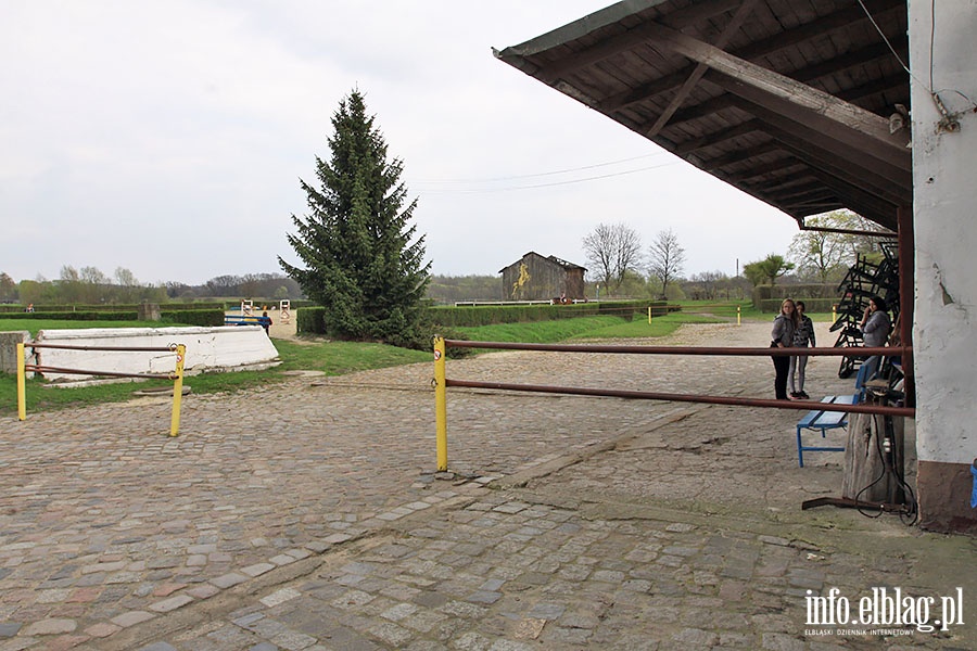 Fundacja "Końskie Zdrowie", fot. 28