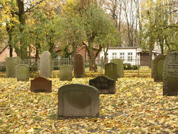 Poniemieckie cmentarze ewangelickie przy ul. Sadowej i , fot. 4