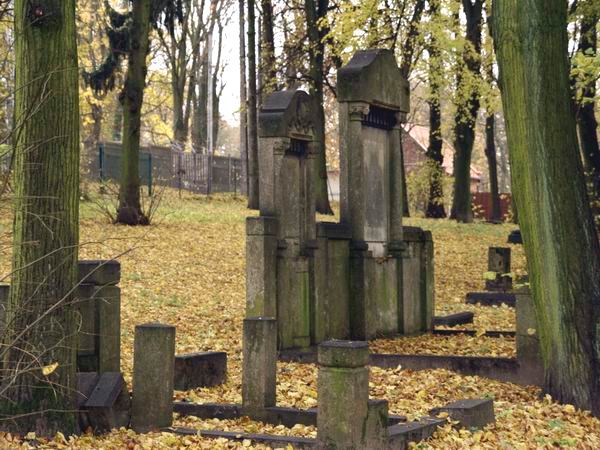 Poniemieckie cmentarze ewangelickie przy ul. Sadowej i , fot. 8