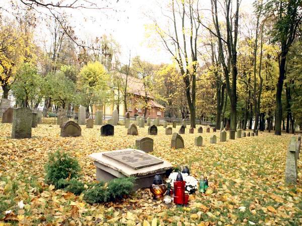 Poniemieckie cmentarze ewangelickie przy ul. Sadowej i , fot. 9