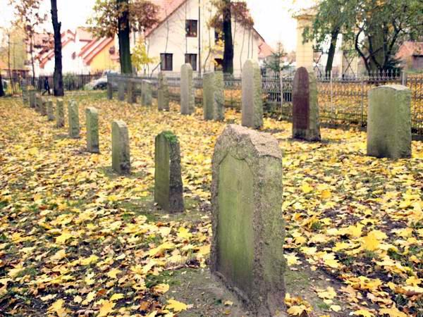 Poniemieckie cmentarze ewangelickie przy ul. Sadowej i , fot. 15