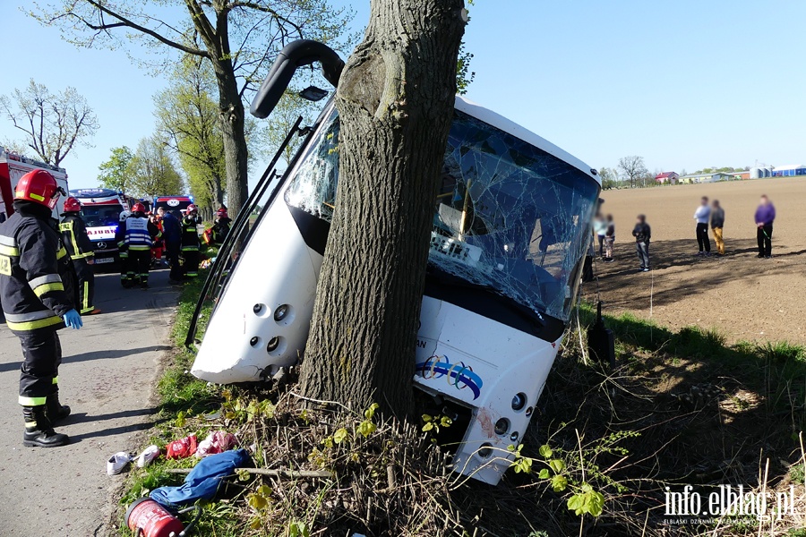 Wypadek midzy Zwierznem a Kpniewem. Autobus uderzy w drzewo, osiem osb rannych, fot. 7