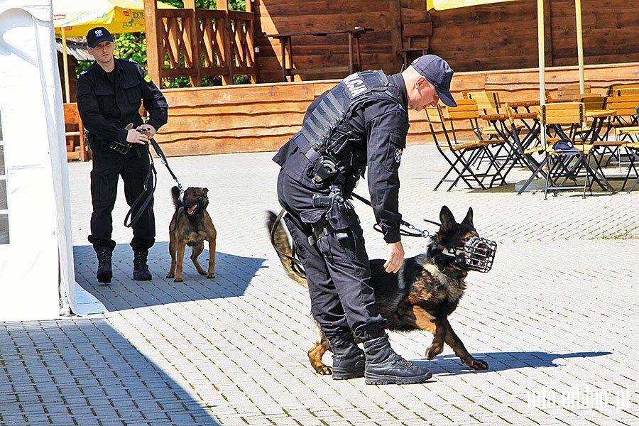 Pokaz psów policyjnych, fot. 11