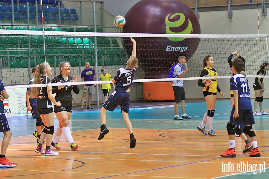 Wojewódzki finał turnieju Kinder+sport, fot. 24