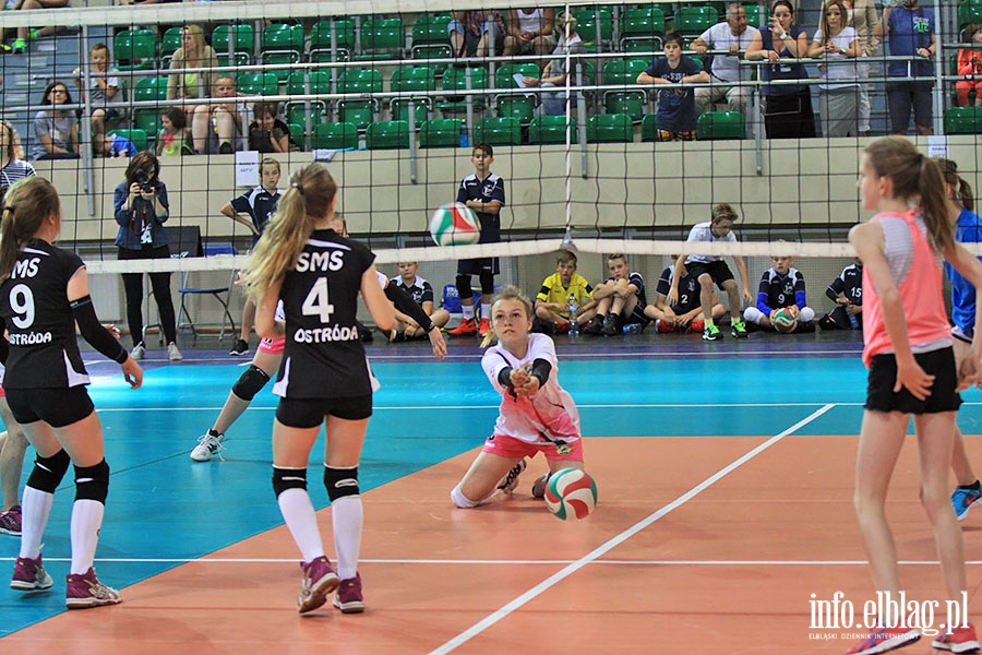 Wojewdzki fina turnieju Kinder+sport, fot. 39