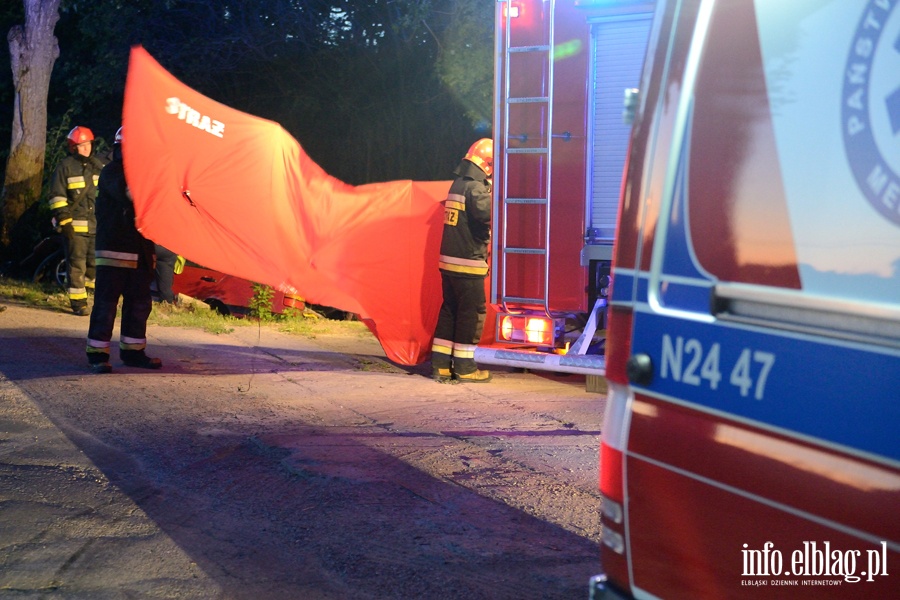 miertelny wypadek w Kamienniku Wielkim po uderzeniu autem w drzewo, fot. 1