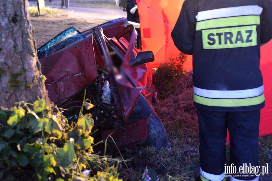 miertelny wypadek w Kamienniku Wielkim po uderzeniu autem w drzewo, fot. 3