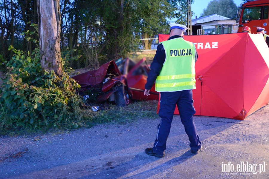 miertelny wypadek w Kamienniku Wielkim po uderzeniu autem w drzewo, fot. 13