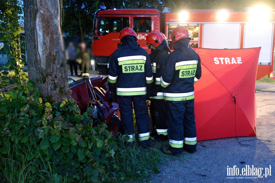 miertelny wypadek w Kamienniku Wielkim po uderzeniu autem w drzewo, fot. 15