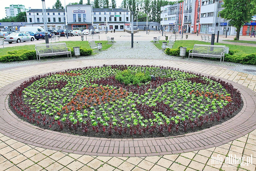 Miejskie zieleńce, fot. 15