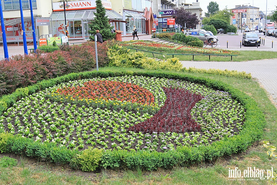 Miejskie zieleńce, fot. 20
