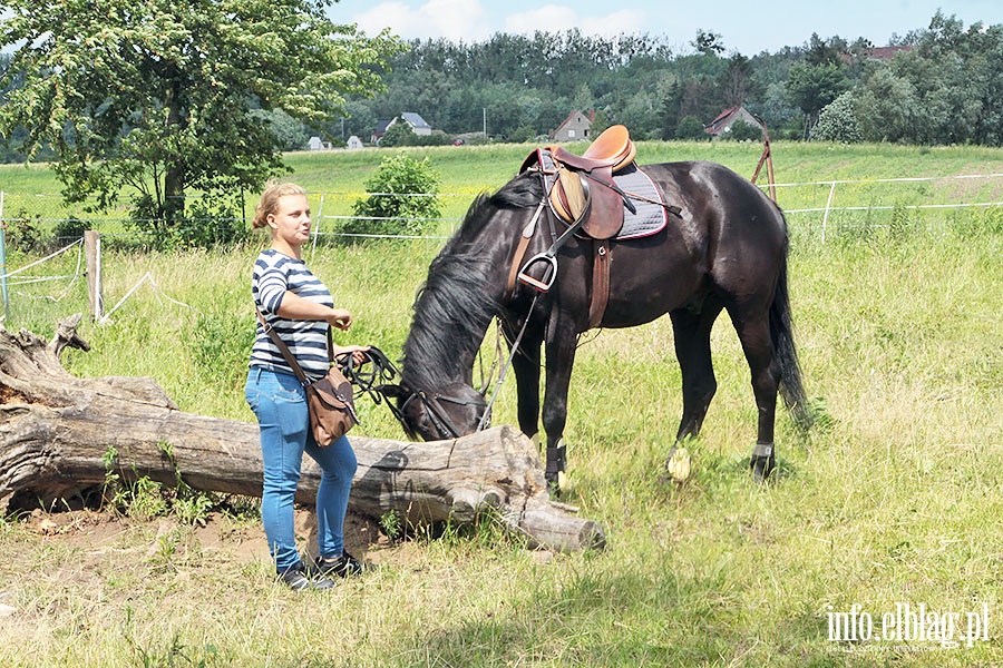 Zawody i festyn na Koskim Zdrowiu, fot. 17