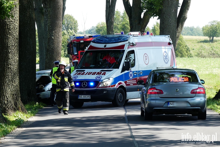 Wypadek koło Zastawna. Ranny kierowca w szpitalu po uderzeniu autem w drzewo, fot. 1