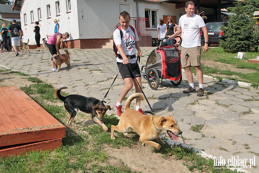 Bieg na 6 Łap, fot. 8