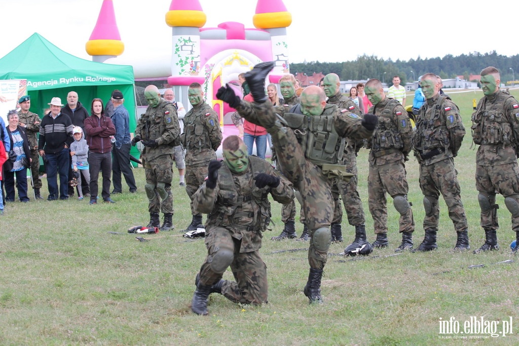 16 PDZ na Piknikach NATO, fot. 4