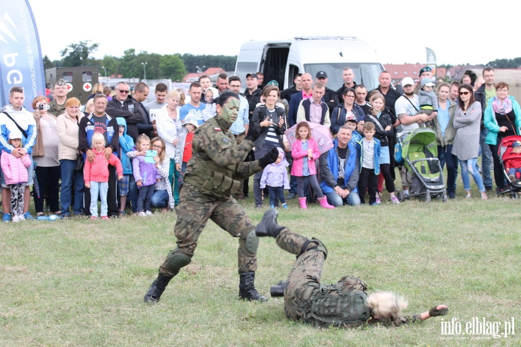 16 PDZ na Piknikach NATO, fot. 5