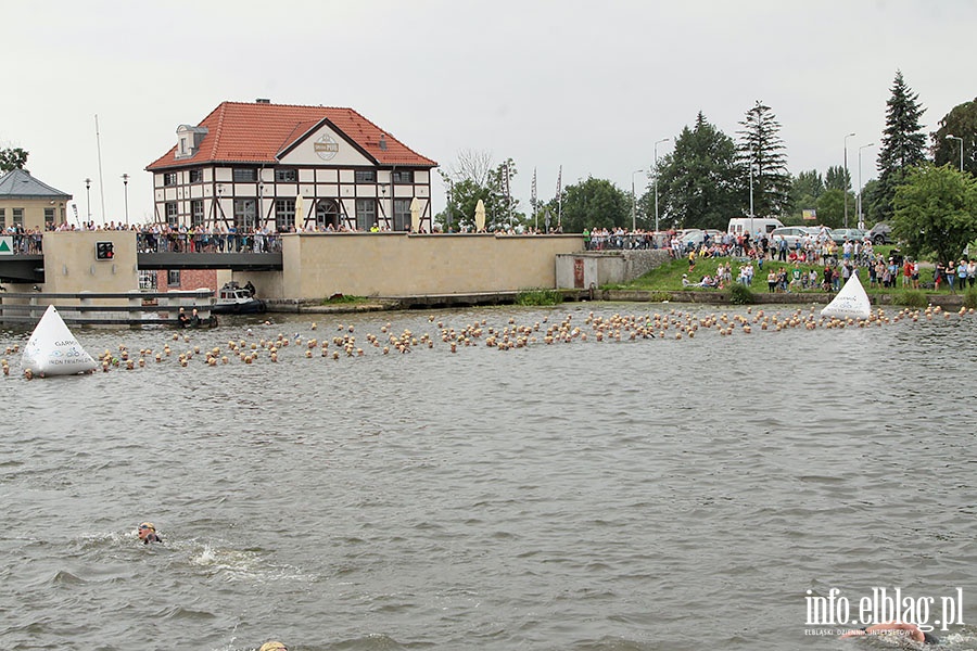 Fina Garmin Iron Triathlon, fot. 89