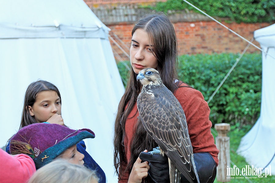 Oblenie Malbork 2016, fot. 134
