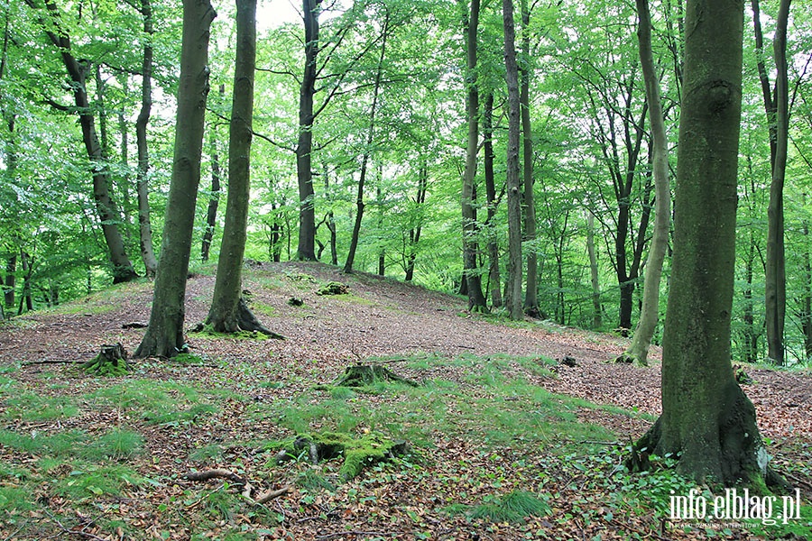 Prchnik wycieczka z przewodnikiem, fot. 76