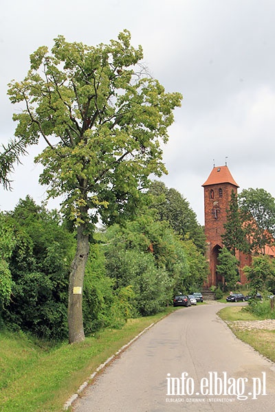 Prchnik wycieczka z przewodnikiem, fot. 95