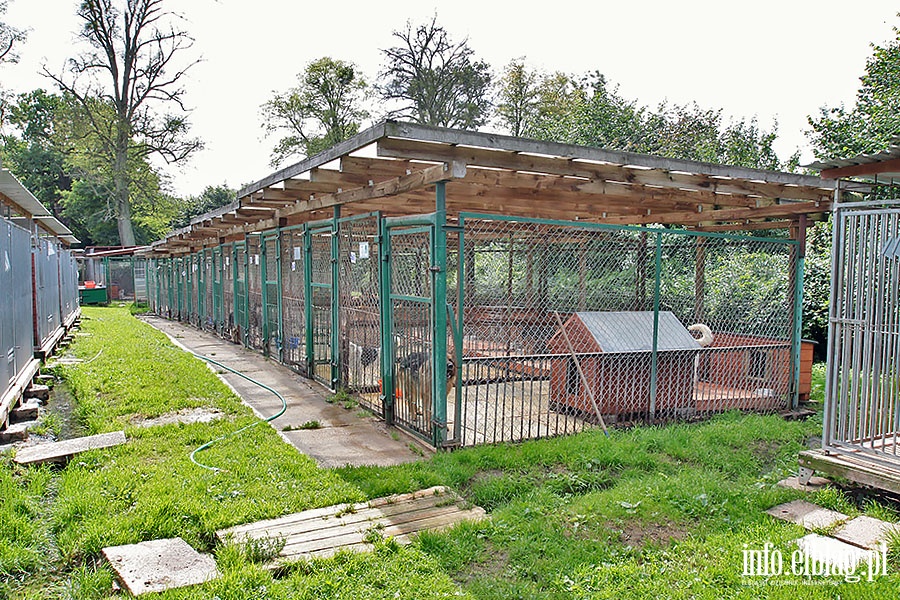 Elbląskie schronisko dla zwierząt, fot. 23