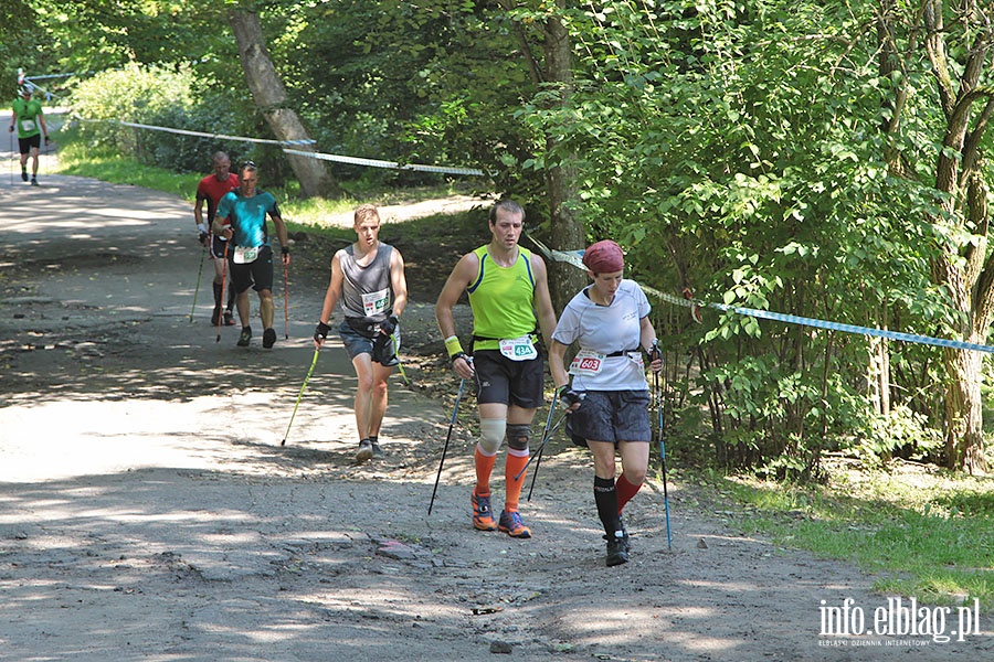 Puchar Świata Nordic Walking 2016, fot. 108