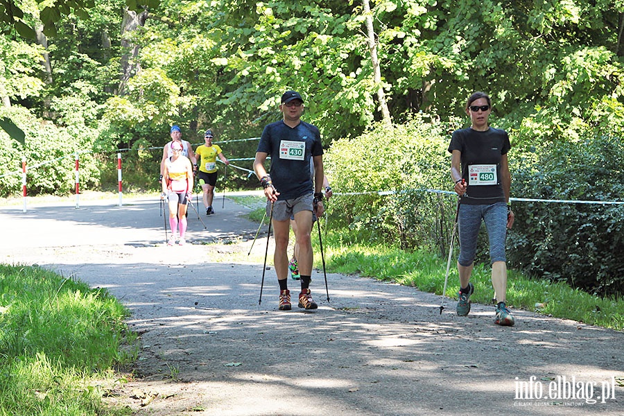 Puchar wiata Nordic Walking 2016, fot. 113